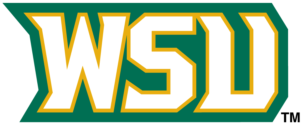 Wright State Raiders 2001-Pres Wordmark Logo vinyl decal